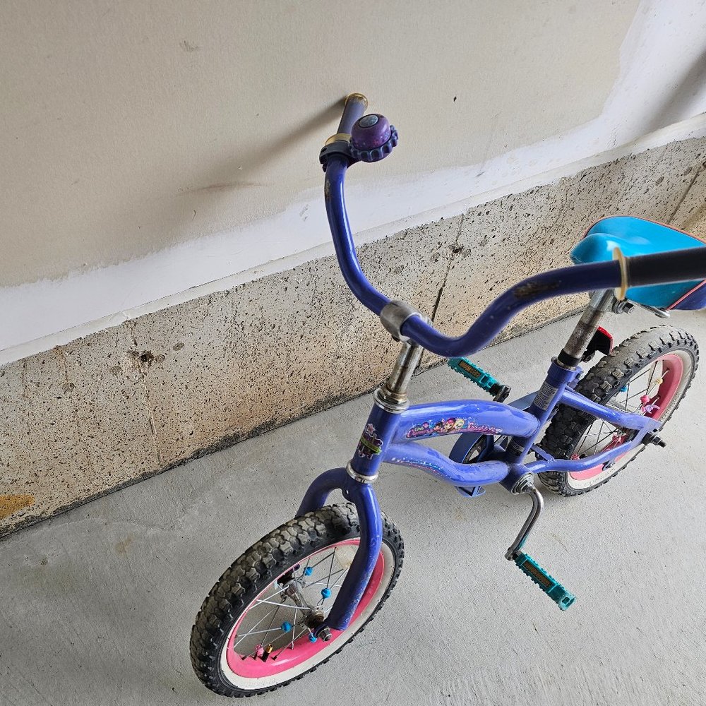 Youth bicycle